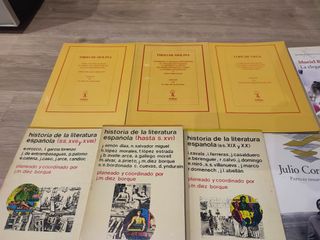 Lote 14 libros literatura española