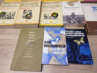 Lote 14 libros literatura española