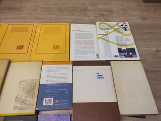 Lote 14 libros literatura española