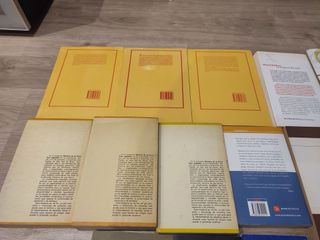 Lote 14 libros literatura española