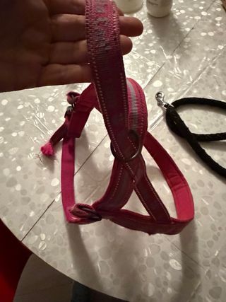 Pettorina per cani taglia XL