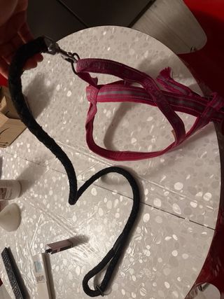 Pettorina per cani taglia XL