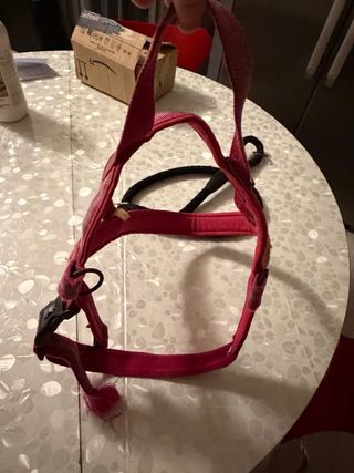 Pettorina per cani taglia XL