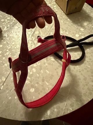 Pettorina per cani taglia XL