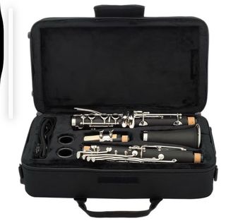 Clarinete Vangoa con funda