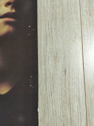 Secret Service Flash in the Night