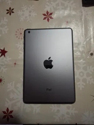 iPad mini Apple