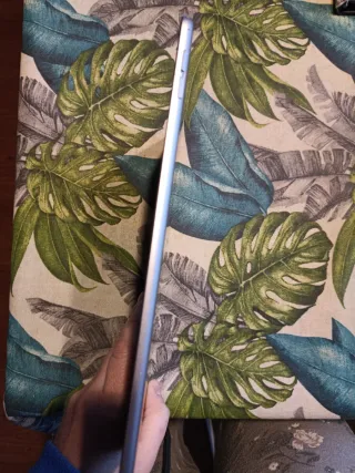 iPad Air 2 64GB Plata