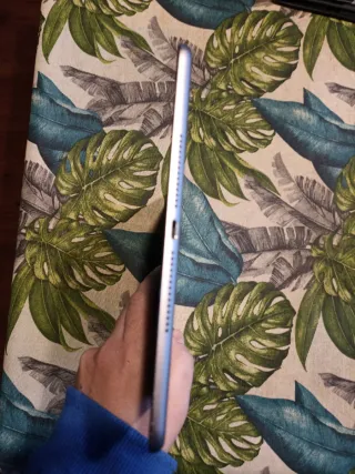 iPad Air 2 64GB Plata