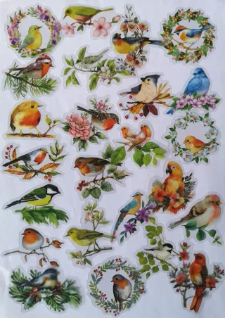 PACK 50 PEGATINAS PAJARITOS Y COLIBRÍES