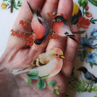 PACK 50 PEGATINAS PAJARITOS Y COLIBRÍES