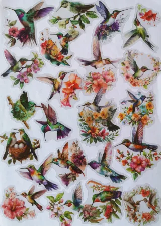 PACK 50 PEGATINAS PAJARITOS Y COLIBRÍES