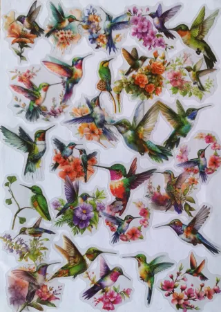 PACK 50 PEGATINAS PAJARITOS Y COLIBRÍES