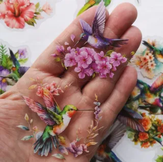 PACK 50 PEGATINAS PAJARITOS Y COLIBRÍES