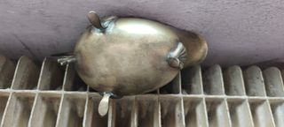 Svuota tasche o porta condimenti