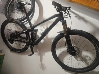 Bici MTB Trek Fuel EX 9.0
