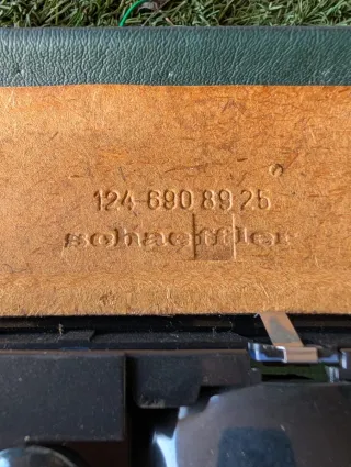 Revestimiento del techo con luz de w124