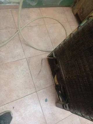 Nevera Gatorade Verde