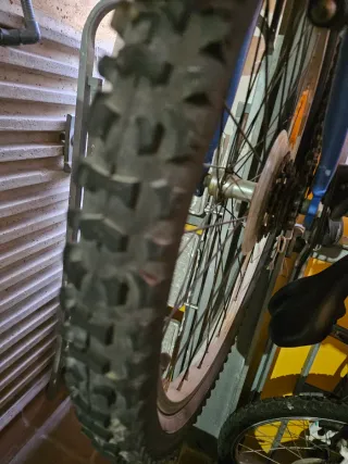 Bicicleta Orbea eXtreme Montaña Adulto