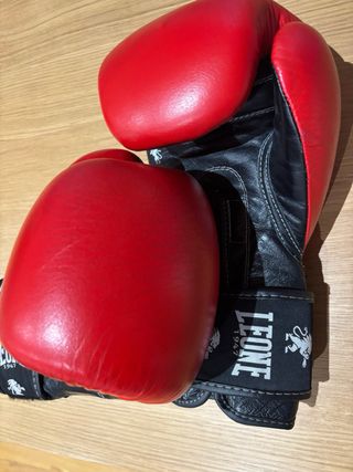 Guantes Boxeo Leone Ambassador 12Oz,45€