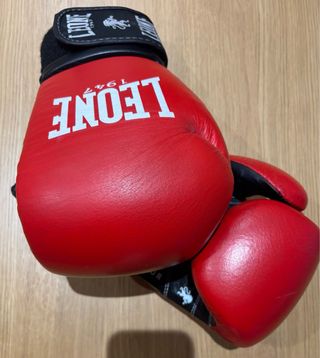Guantes Boxeo Leone Ambassador 12Oz,45€