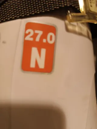 Botas de esquí Head