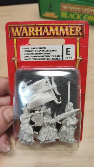 Warhammer grupo guardias del túmulo