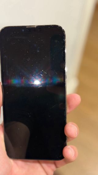 iPhone 13 Pro Max 1TB Argento 87% Batteria