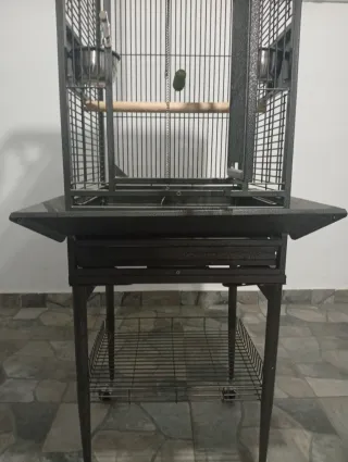 Jaula para loro grande