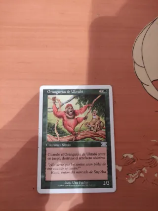 Mtg Orangutan de Uktabi