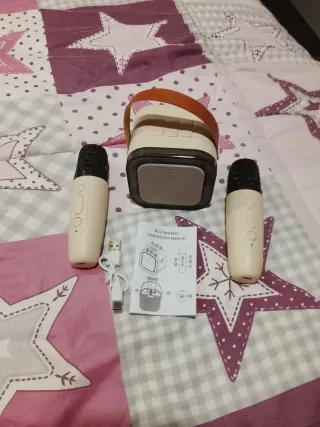 Sistema Karaoke con 2 Micrófonos