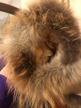 Giacca piumino invernale beige con pelliccia