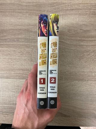 El puño de la Estrella del Norte (Hokuto No Ken...
