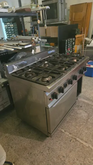 Cocina Profesional Gas 6 Quemadores + Horno