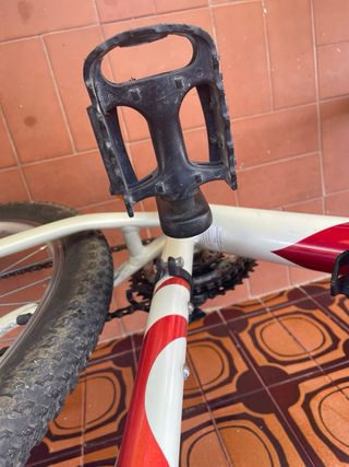 Bicicleta Orbea Montaña Adulto