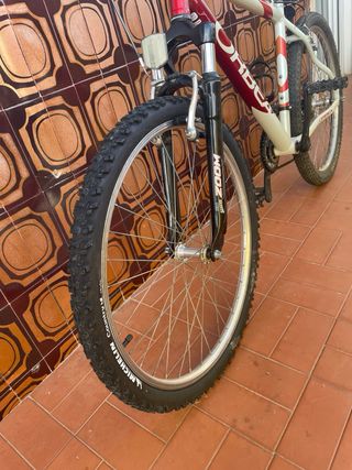 Bicicleta Orbea Montaña Adulto