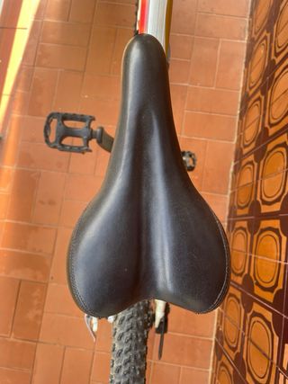 Bicicleta Orbea Montaña Adulto