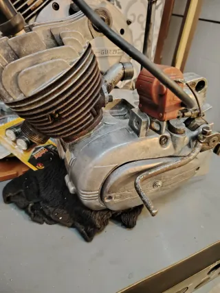 Derbi Antorcha Ciclomotor Manual