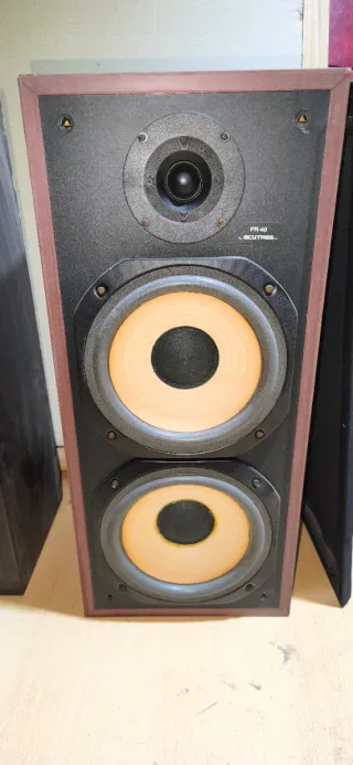 2 Altavoces Vieta PR 40