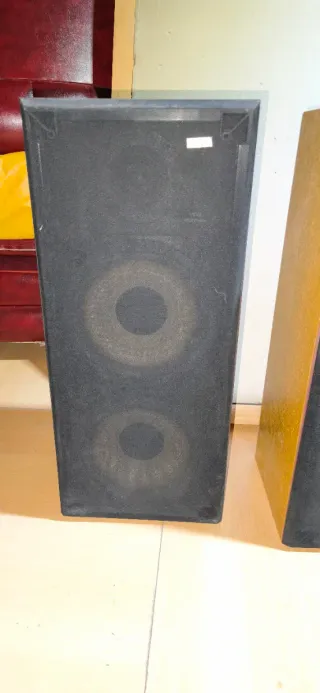 2 Altavoces Vieta PR 40