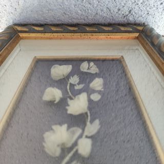 Cuadro vitrina flor blanca
