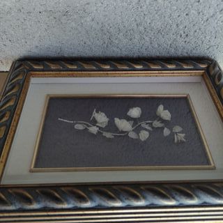 Cuadro vitrina flor blanca