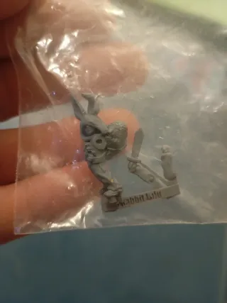 Rabit Lulu Raging Heroes Warhammer Miniatura