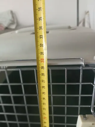 Transportín para perros verde y blanco.