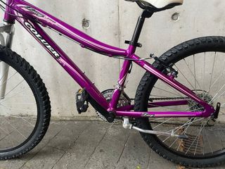 Bicicleta Morada Coluer.