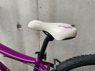 Bicicleta Morada Coluer.