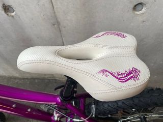 Bicicleta Morada Coluer.