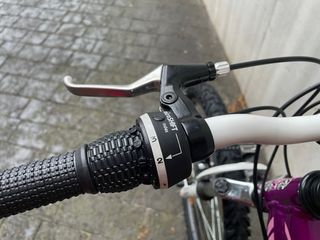 Bicicleta Morada Coluer.