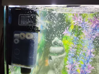 Acuario 100L con accesorios filtros externo y Inte