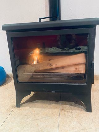 Chimenea de hierro con puerta de cristal